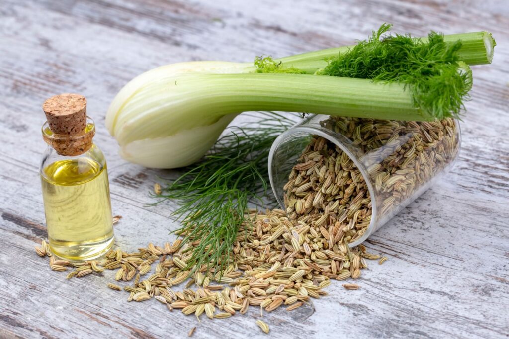 Bouffées de chaleur et ménopause : Le Top 10 des Huiles Essentielles pour les Soulager 15 Fenouilles et graine de fenouille pour calmer les bouffées de chaleur à la ménopause