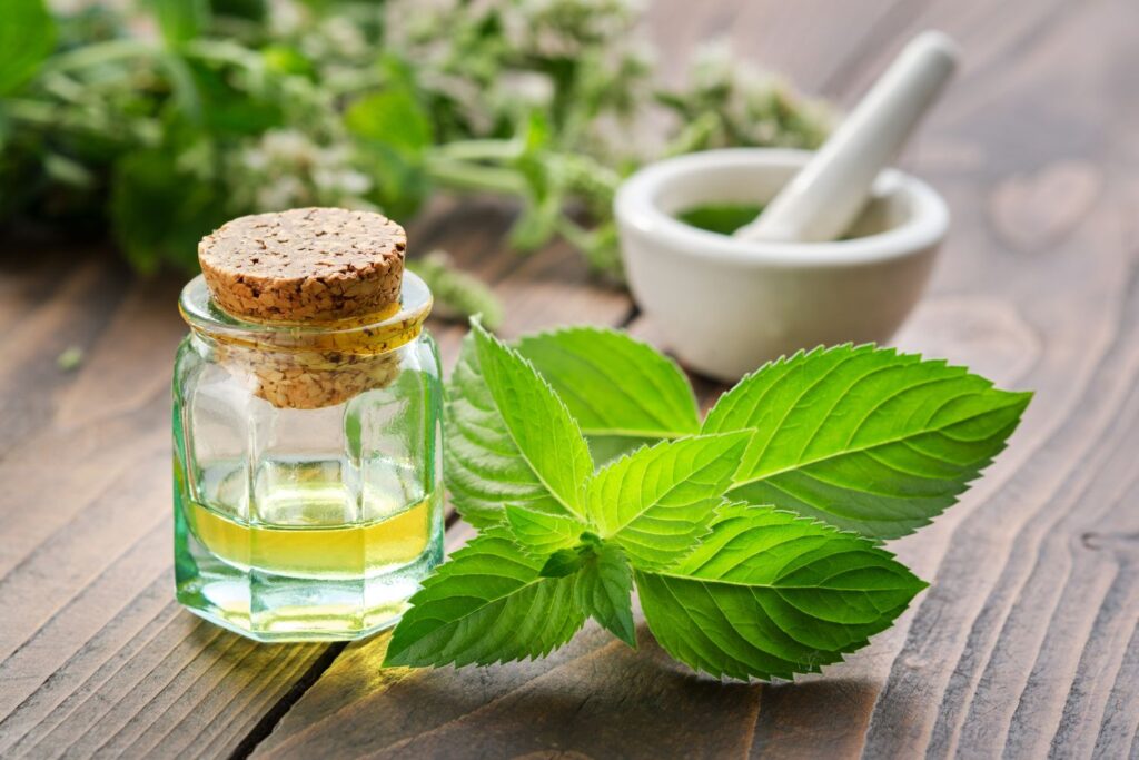 Bouffées de chaleur et ménopause : Le Top 10 des Huiles Essentielles pour les Soulager 9 feuilles de menthe poivrée pour calmer les bouffées de chaleur à la ménopause