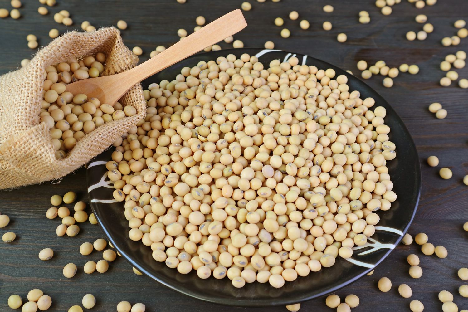 des graines de soja idéales pour menu semaine regime ménopause
