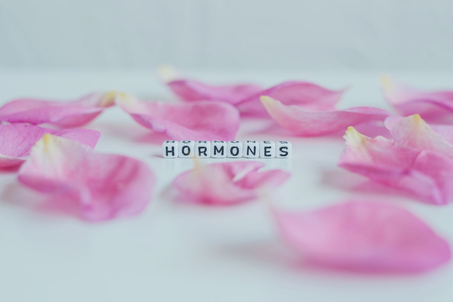 le mot hormone parmi des pétales de rose dans pour illustrer le menu semaine regime ménopause
