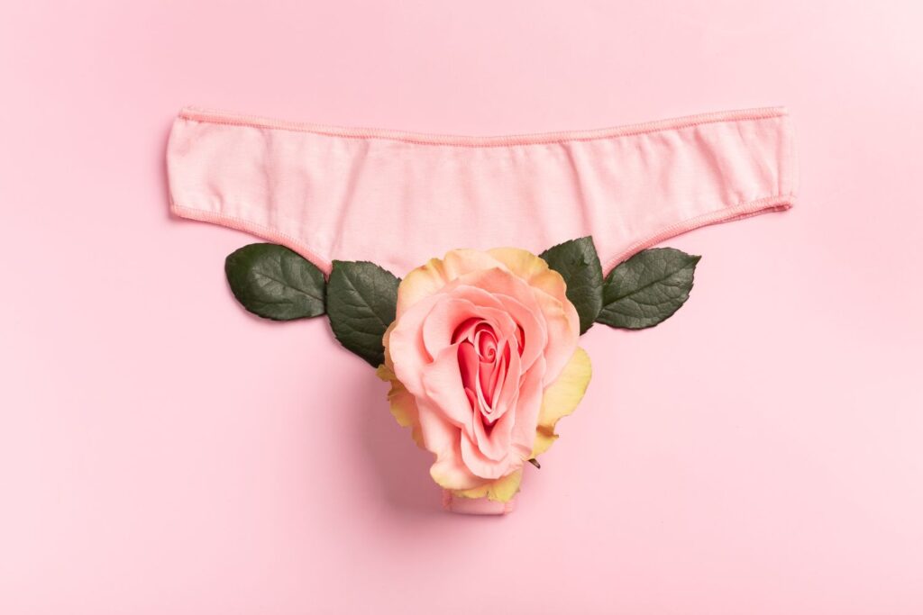 une culotte rose sur fond rose avec une rose au centre pour illustrer la sécheresse vaginale en ménopause