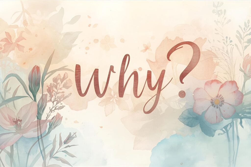 la question "why?" sur un fonds rose pastel