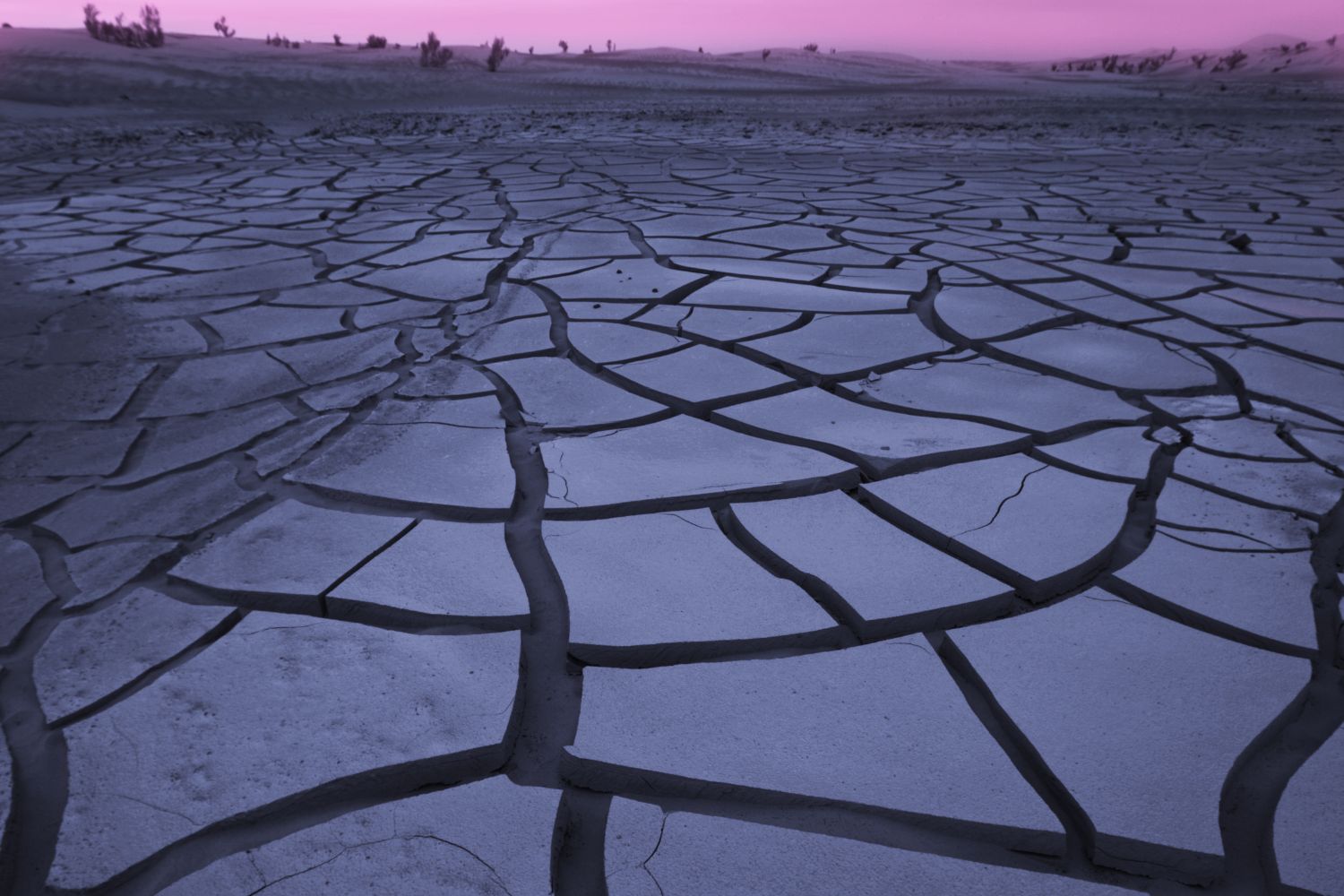 Une terre sèche craquelée avec un coucher de soleil rosé pour illustrer l'article peau sèche à la ménopause