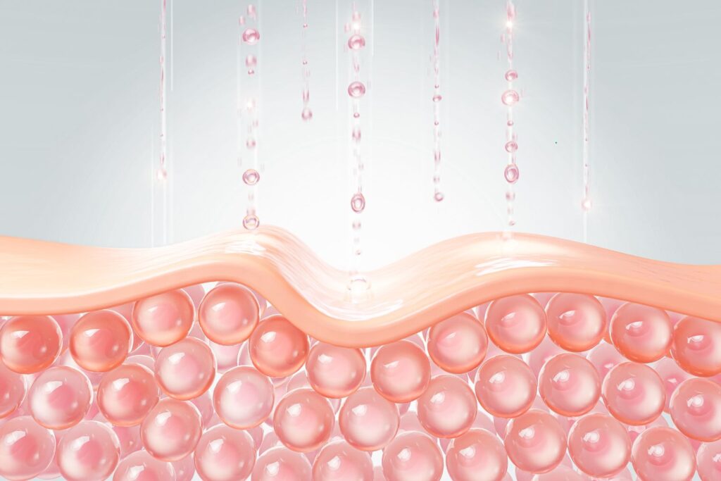 Une illustration de tissus cutanés le dessus en beige et le dessous fait de billes roses pour illustrer l'article sperme de saumon en injection.